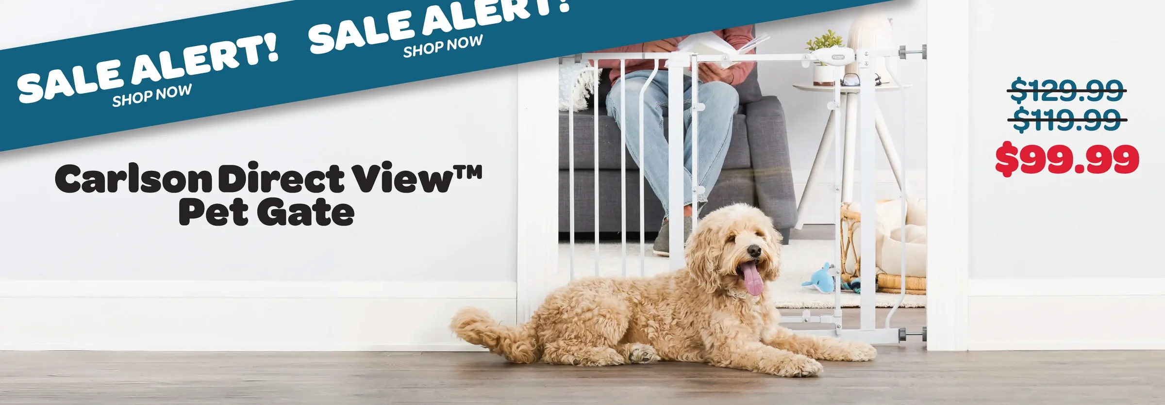 Secure Comfort for Every Pet