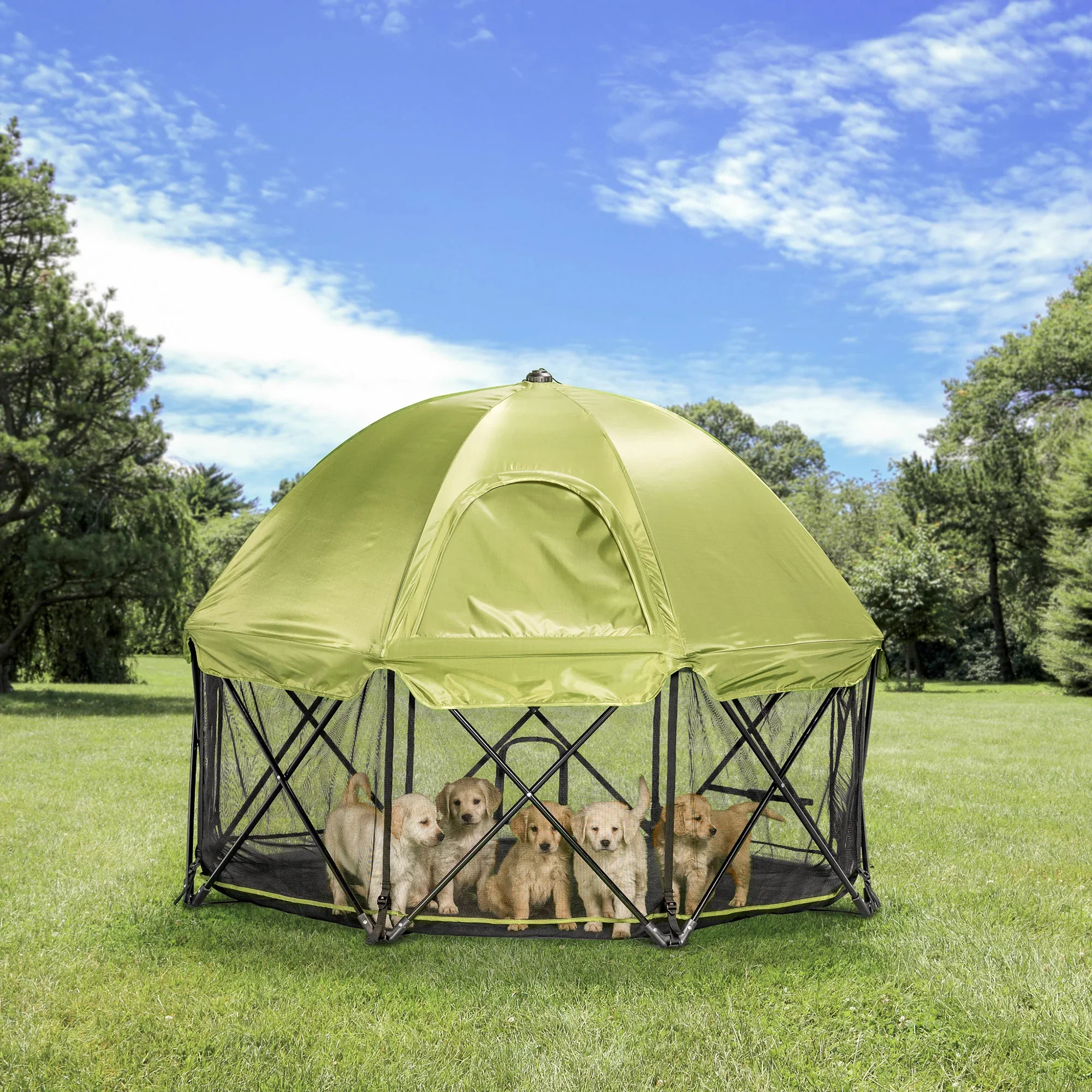 Pet Pens